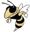 Greer High School