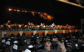 Strings Concert