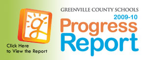 Progress Report