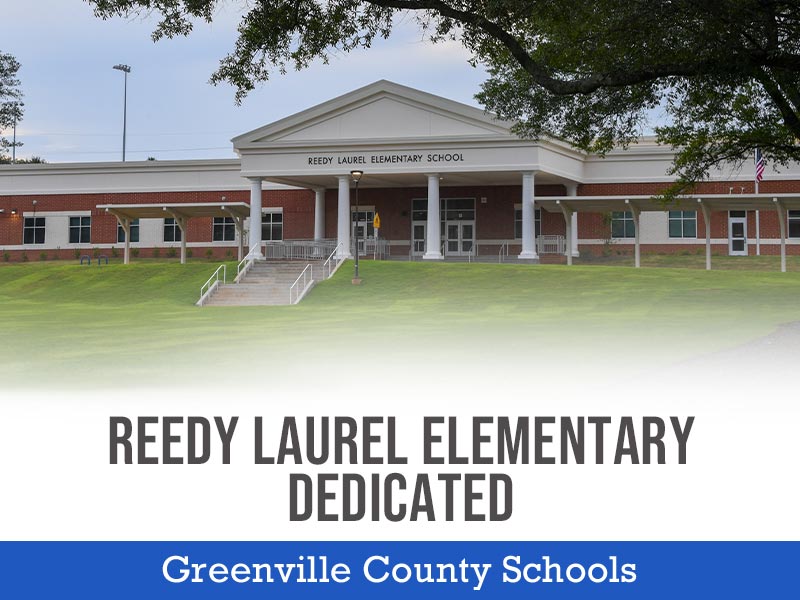 Reedy Laurel Dedicated