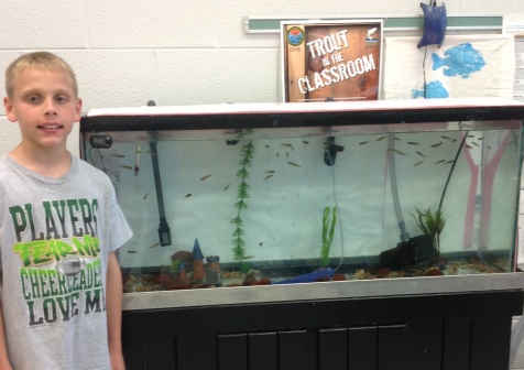The Science Club of Slater-Marietta Elementary School has successfully raised 70 trout from eggs to 1.5 inch long fingerlings.  