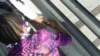 miceonmaintrip15_small.jpg