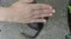 miceonmaintrip18_small.jpg