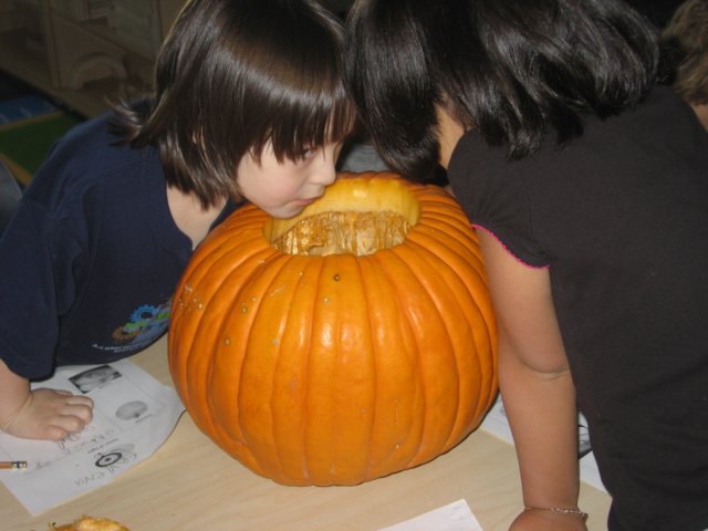 pumpkinunit7.jpg
