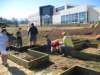 gofogardenbuild11_small.jpg
