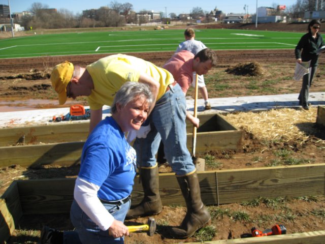 gofogardenbuild13.jpg