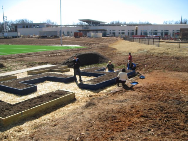 gofogardenbuild38.jpg