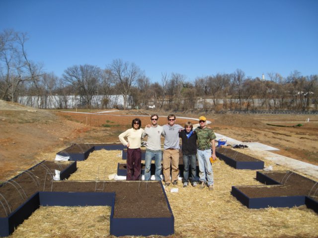 gofogardenbuild43.jpg