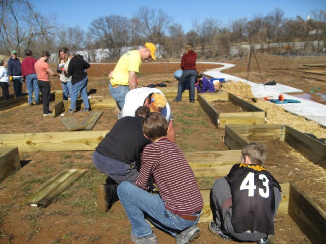 gofogardenbuild9.jpg
