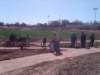 treesgreenvillegeenergyplanting14_small.jpg