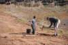treesgreenvillegeenergyplanting4_small.jpg