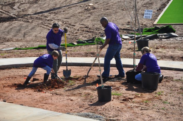 treesgreenvillegeenergyplanting7.jpg