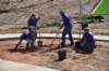 treesgreenvillegeenergyplanting7_small.jpg