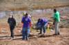 treesgreenvillegeenergyplanting9_small.jpg