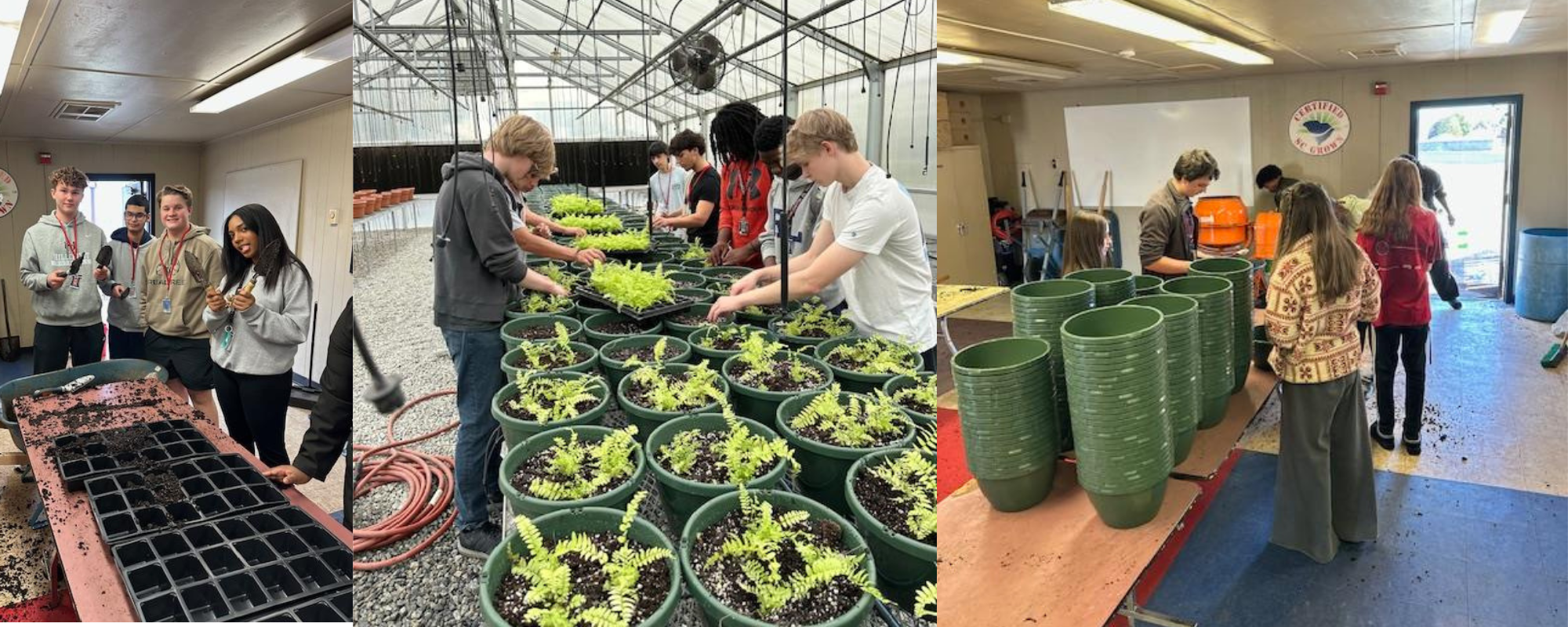 students working the plant sale