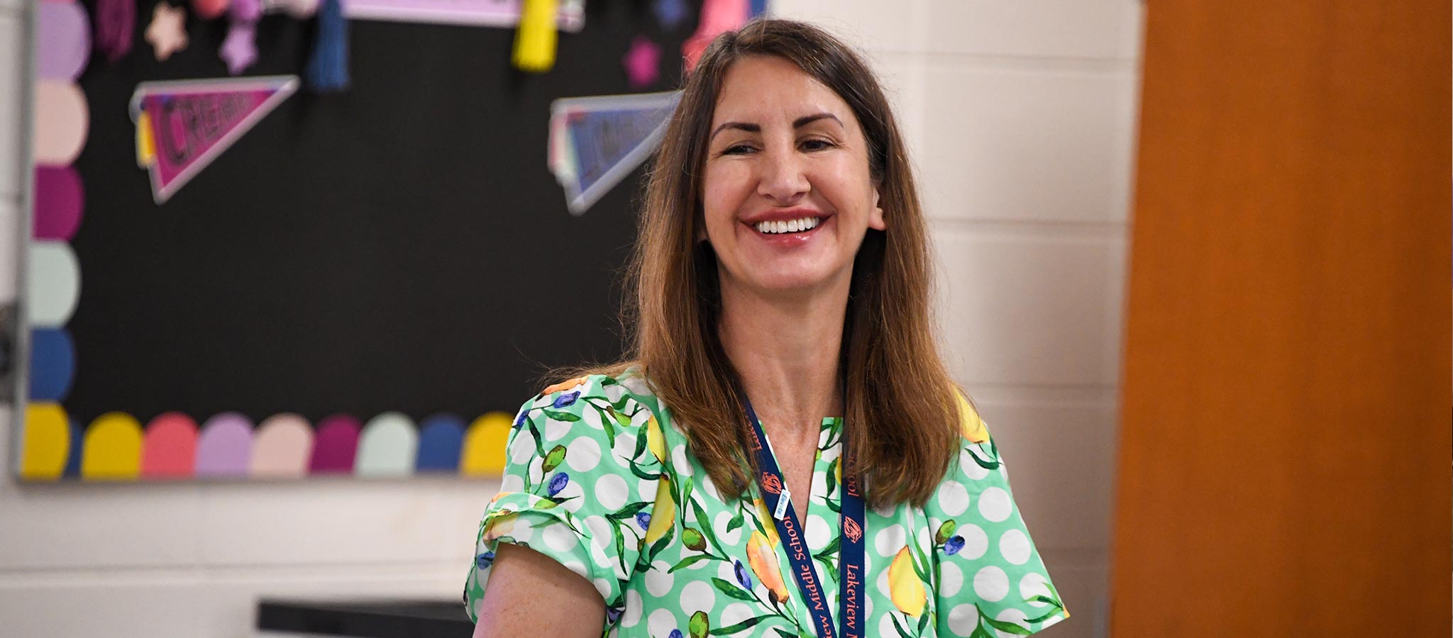 Lakeview Art Teacher