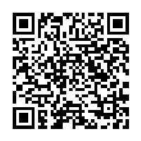 Lakeview Donation QR Code