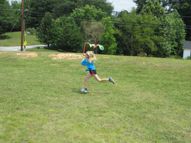 img_1329.jpg