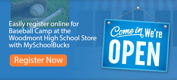 Ad page for registering for Baseball Camp